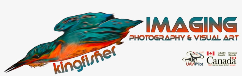 Kingfisherimaging - Federal Economic Development Initiative For Northern, transparent png #2455301