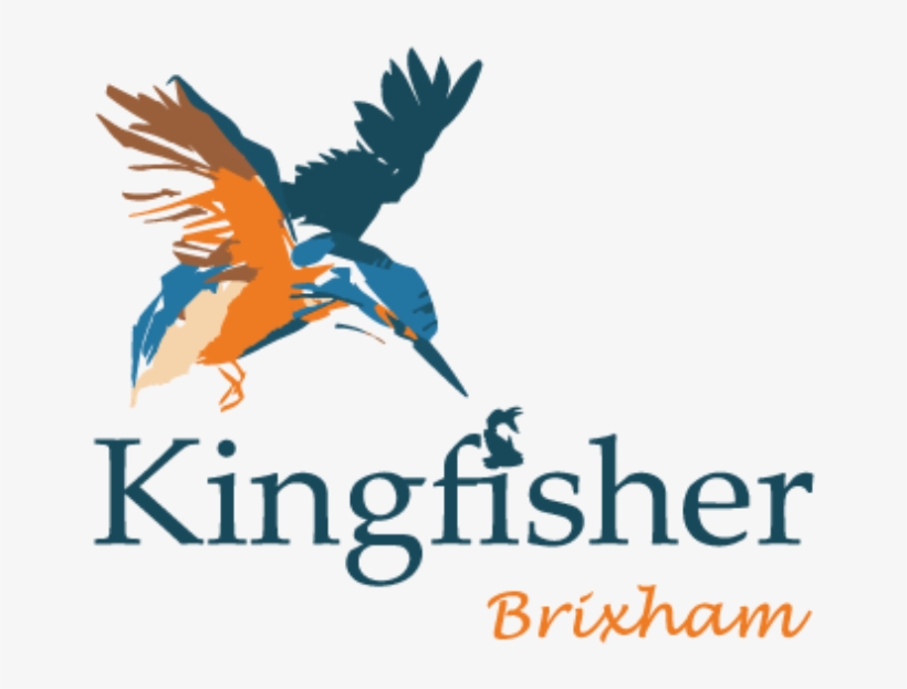 Kingfisher Brixham, transparent png #2455350