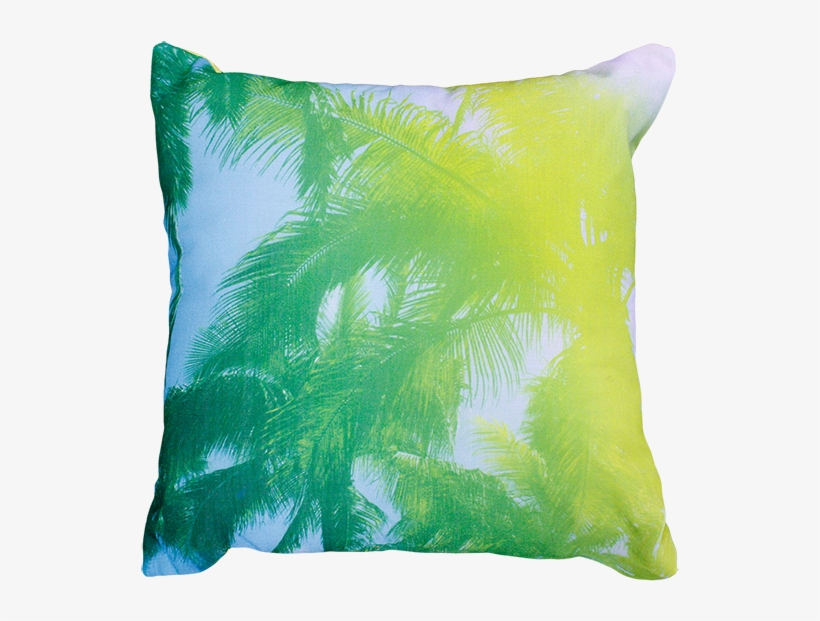 22614c Coconut Leaves - Coconut, transparent png #2455875