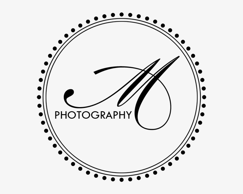 How Does The Album Process Work - Logo Design Photography M, transparent png #2456007