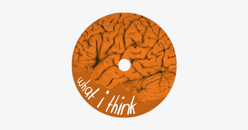 Cd Design - Central Sulcus Real Brain, transparent png #2456474