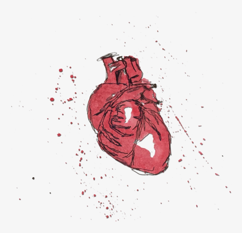 Welcome Page Background Shadow, transparent png #2456835