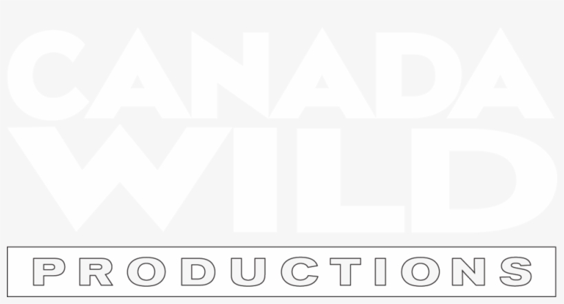 Splashing Into The New Year With Best Wishes To You, transparent png #2457094