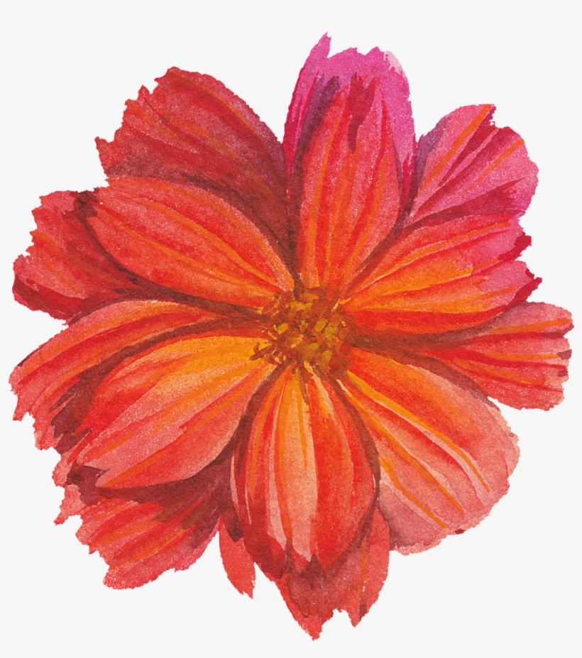 Red Flower Watercolor Transparent Flower - Flower, transparent png #2457097