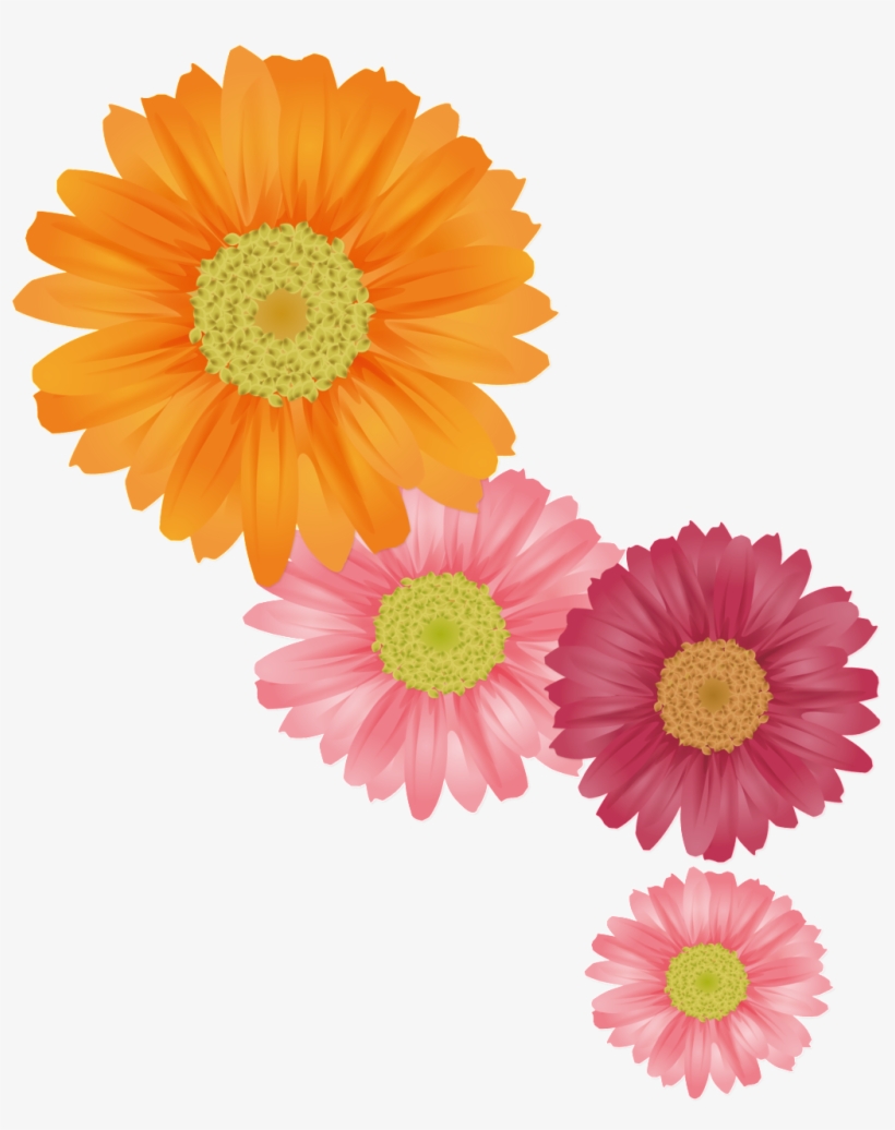 Fresh Orange Hand Painted Chrysanthemum Decorative - Daisy Flower Vector Psd, transparent png #2457118