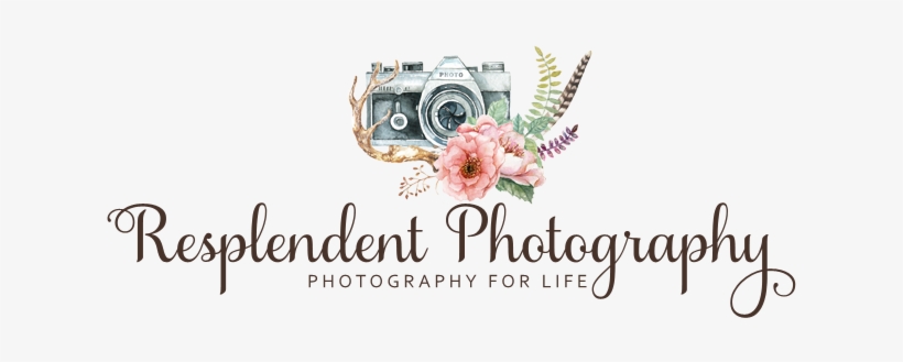 Resplendent Photography - Photography Camera Png For Logo, transparent png #2457768