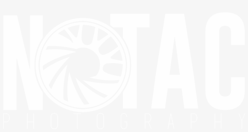I Had A Ton Of Fun Making This, And I Love Cars Myself - Circle, transparent png #2457834