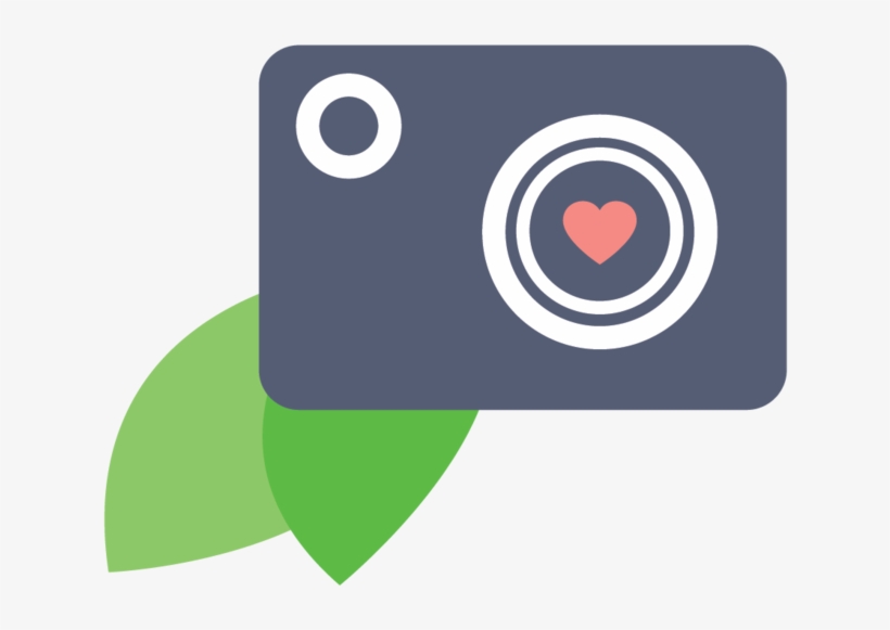 Logo Design For Dillon Phantharangsy Photography, transparent png #2457973