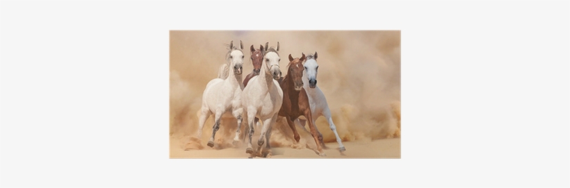 Union Rustic 'running Horses (style 2)' Graphic Art, transparent png #2459642