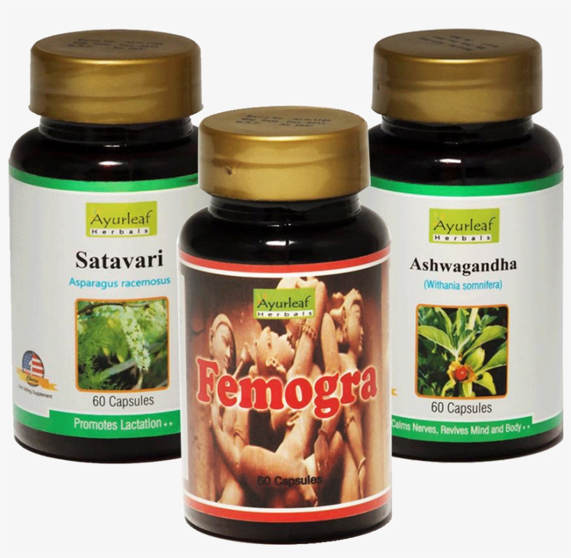 Previous - Next - Ashwagandha Plant, transparent png #2460005