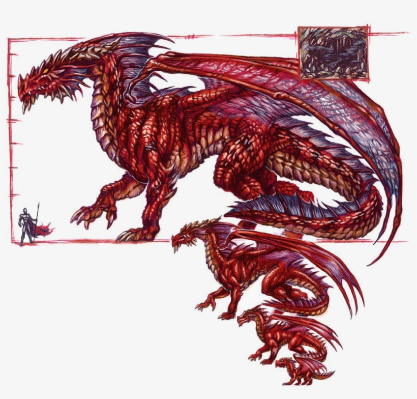 Reds - Red Dragon Anatomy, transparent png #2460077