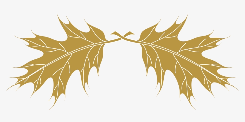Leaves - Illustration, transparent png #2460602