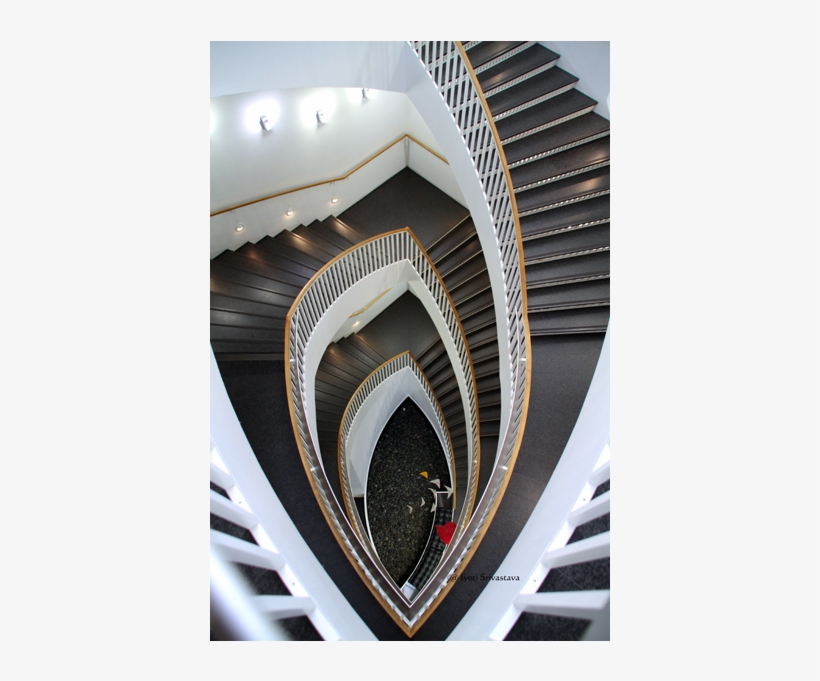 Museum Of Contemporary Art, Chicago, transparent png #2460973