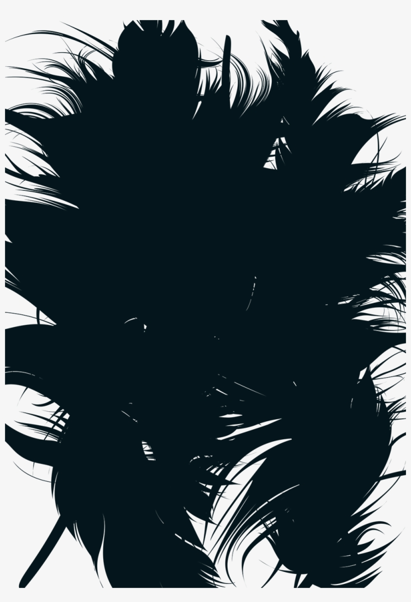 Fond-plume - Illustration, transparent png #2461592