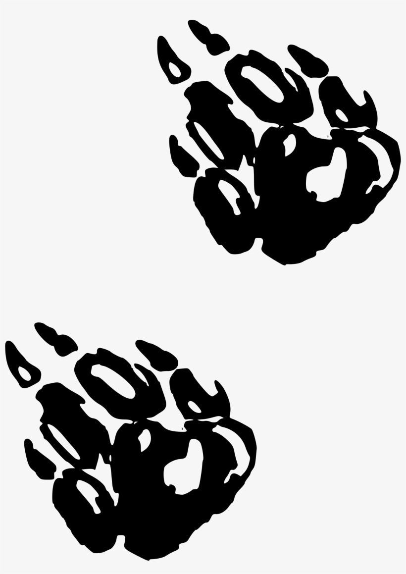 Paws Png, transparent png #2461747