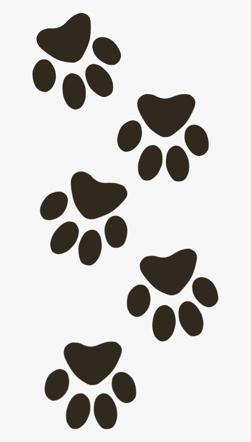4 Paws - Paw, transparent png #2461868