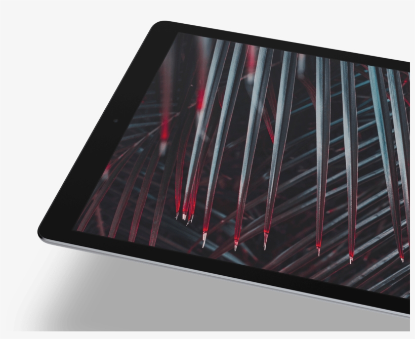 Diversity - Tablet Computer, transparent png #2462003