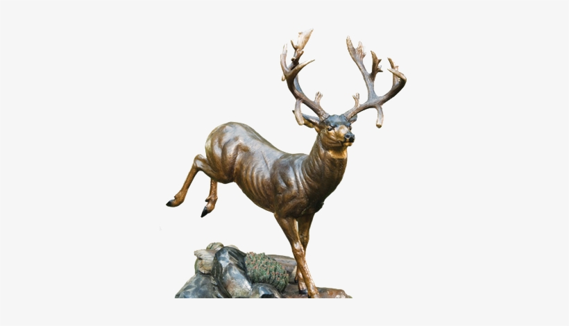 Record Mule Deer, transparent png #2462007