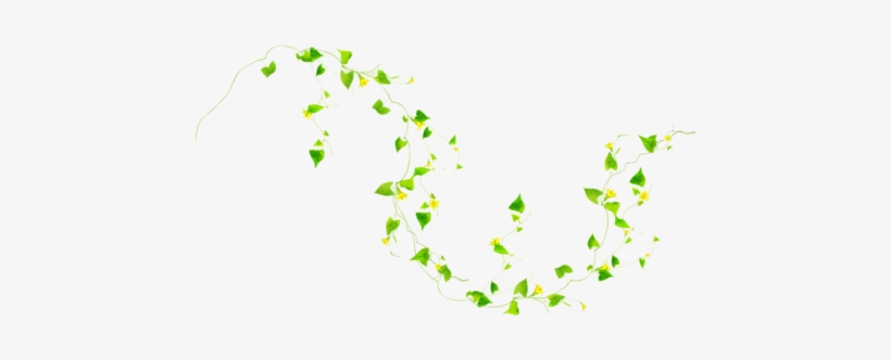 Trees To Plant, Tree Planting, Leaves, Plants, Flower,, transparent png #2462708