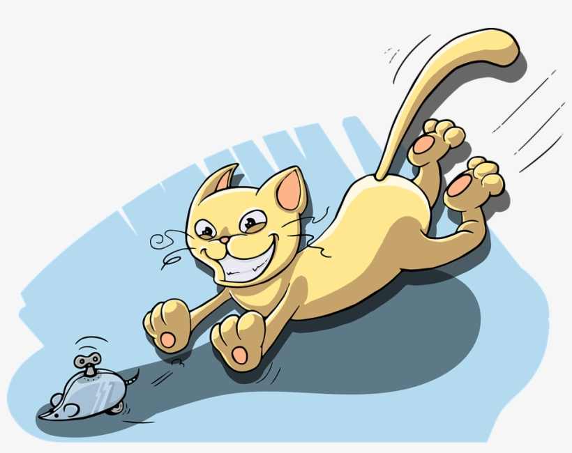 Cat, transparent png #2463356