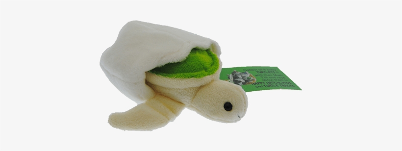green turtle plush