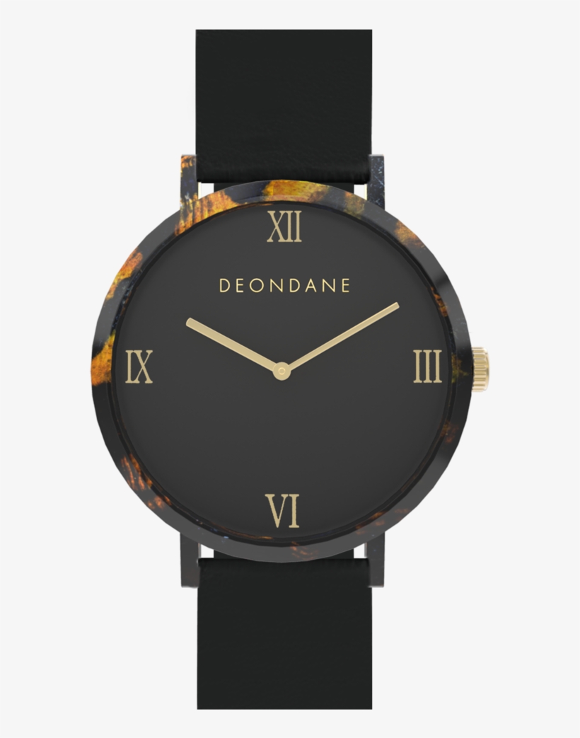 The Turtle Shell Numeral Watch - Turtle, transparent png #2463903
