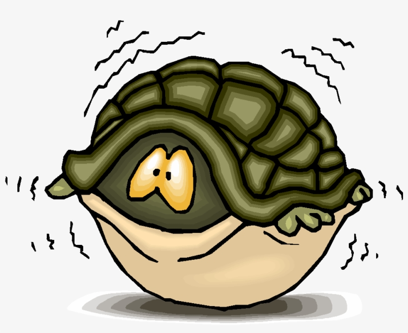 Image Turtle - Turtle Inside Shell Cartoon, transparent png #2464016