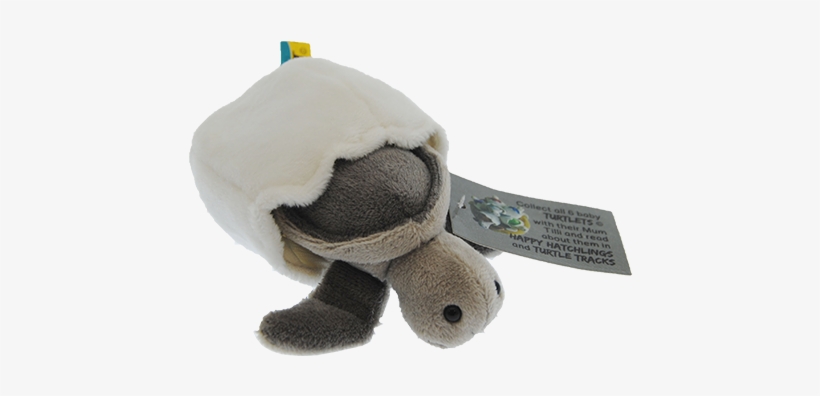 Moonlight Grey Turtle Hatchling Plush Toy With Attached - Doll, transparent png #2464108