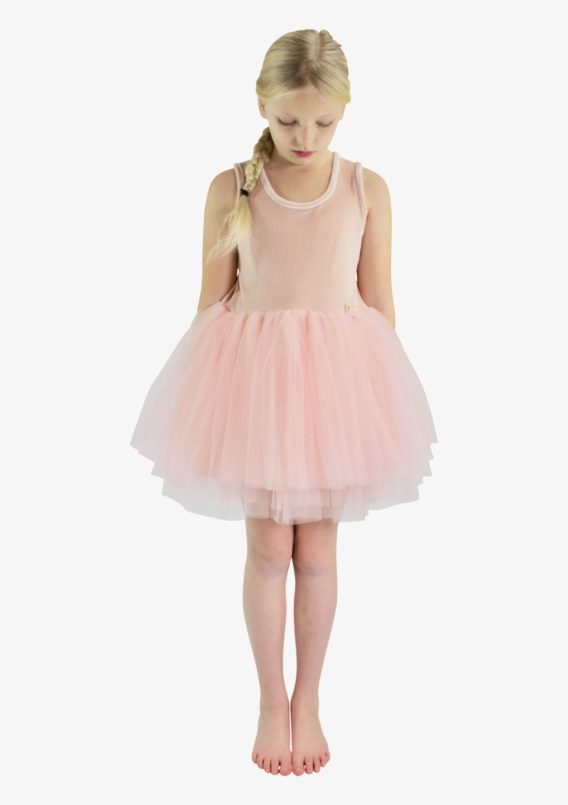 Dolly By Le Petit Tom Velvet Essential Tutu Dress Ballet - Dress, transparent png #2464376