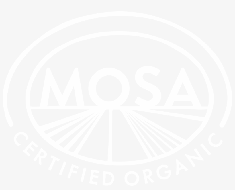 Png - Eps - White Colour Dp For Whatsapp, transparent png #2466386