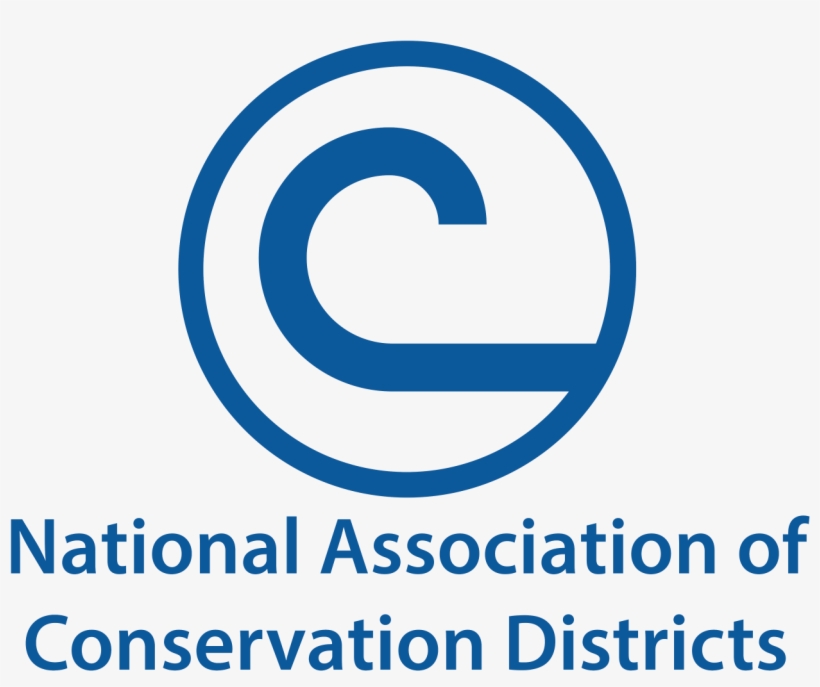 Hattie Formative Assessment Effect Size, transparent png #2466712