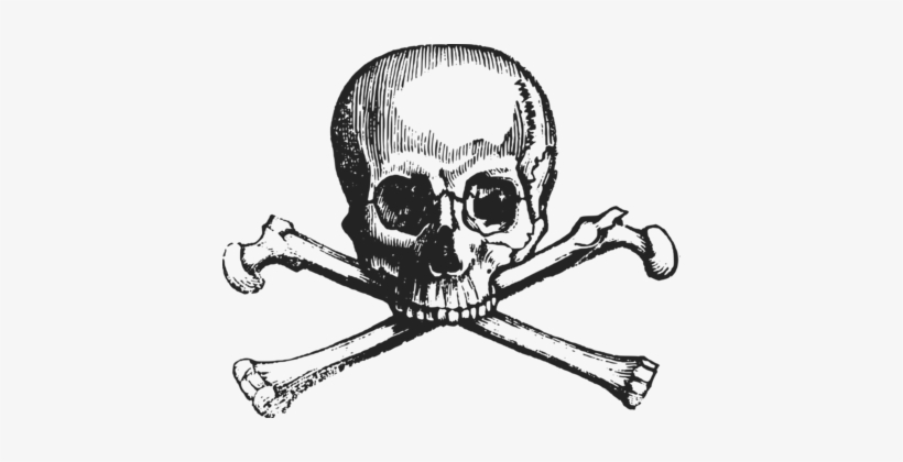 Skull And Crossbones Human Skull Symbolism Death - Skull And Crossbones, transparent png #2468071