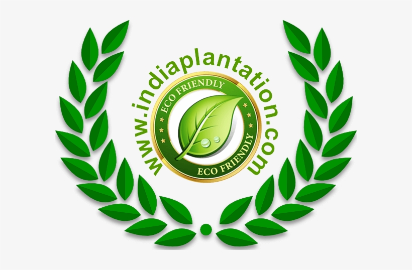 India Plantation New Logo - Olive Branch Symbol Peace, transparent png #2468140