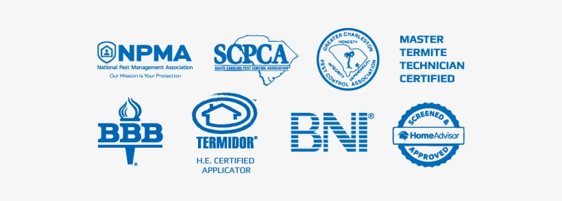 "charleston's Pest Control Puts The Client And Their - South Carolina Pest Control Association, transparent png #2468500