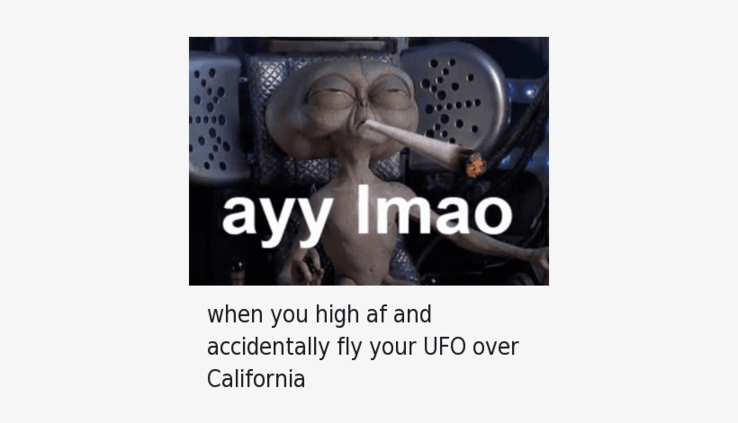 Af, Ayy Lmao, And Lmao - Taylor Gang Or Die Weed, transparent png #2469732