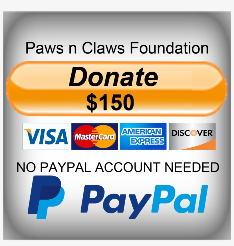 Sandi Paws Pet & People Parade - Card Payments Accepted Contactless, transparent png #2472523