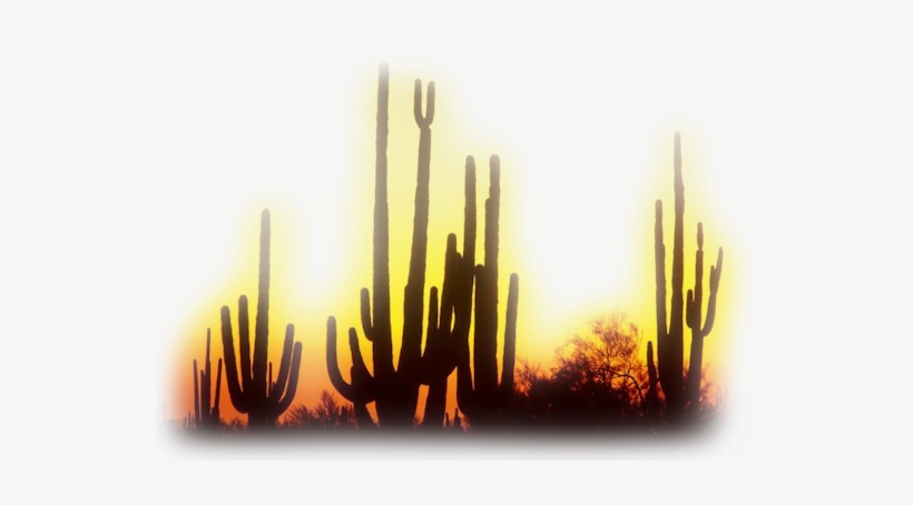 Western-41 - Western Png, transparent png #2472631