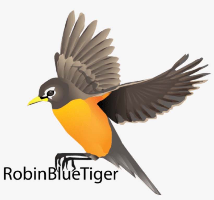 Birds Vector Robin - Robin Bird Flying Drawing, transparent png #2473388