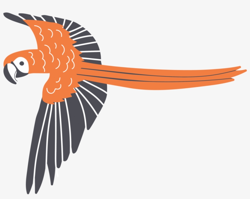 Pataka Will Add An Exotic Touch To Your Cocktail - Macaw, transparent png #2473556