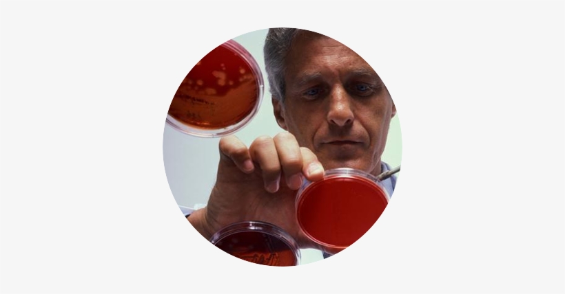 Off The Record Guide To Sexually Transmitted Disease, transparent png #2474065