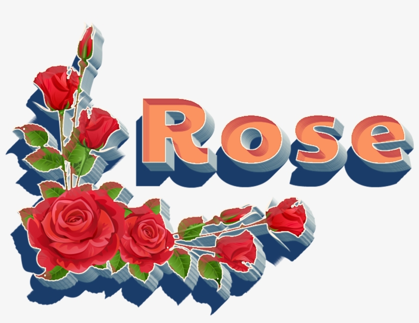Garden Roses, transparent png #2474254
