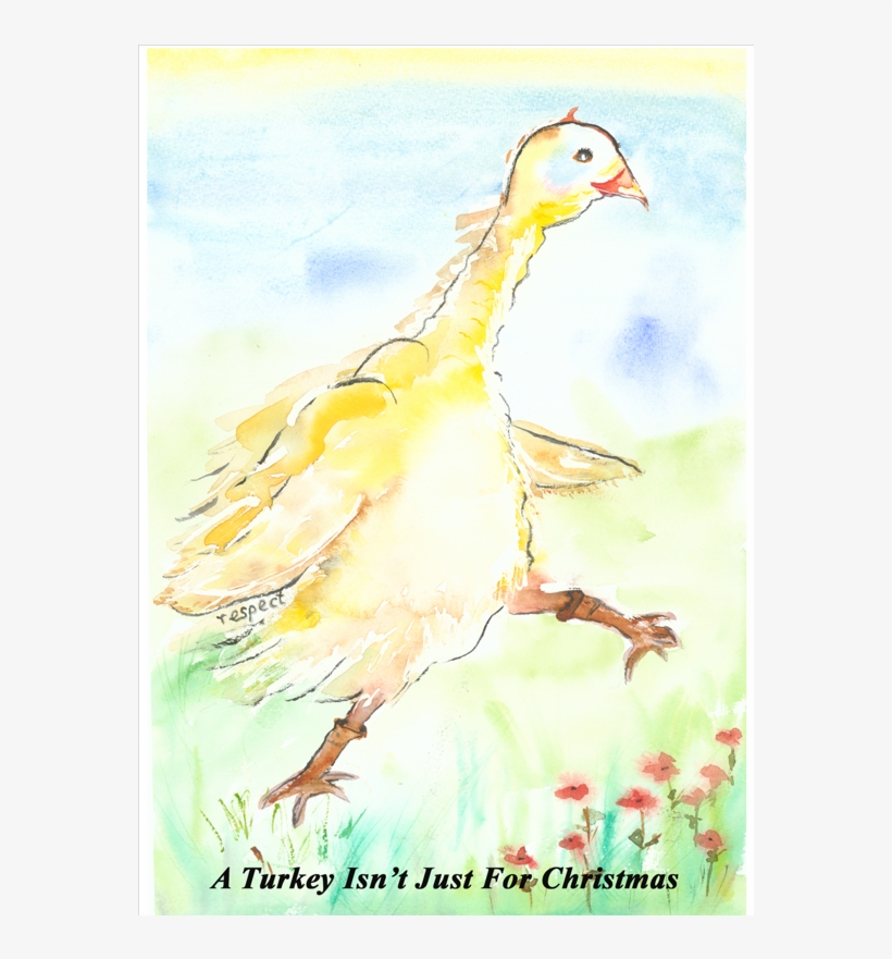 Crackers-christmas - Flightless Bird, transparent png #2474499