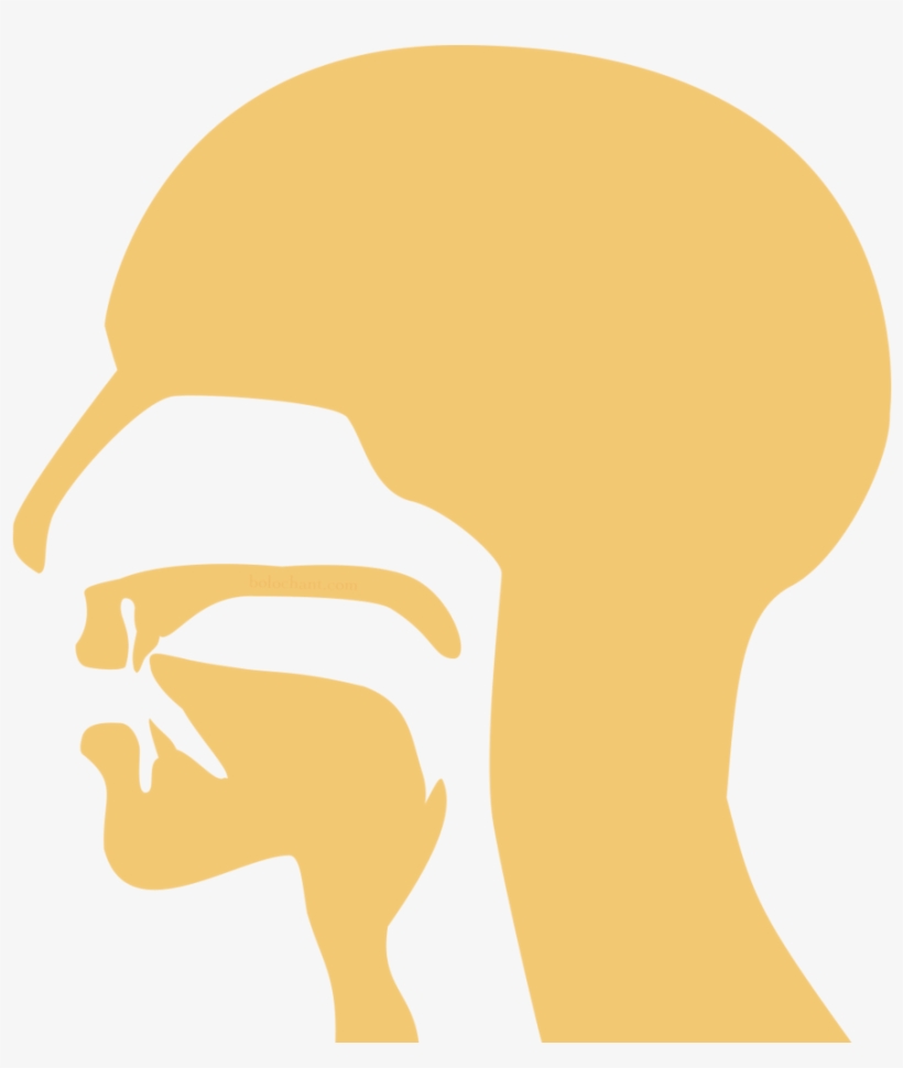 Labial, transparent png #2474650