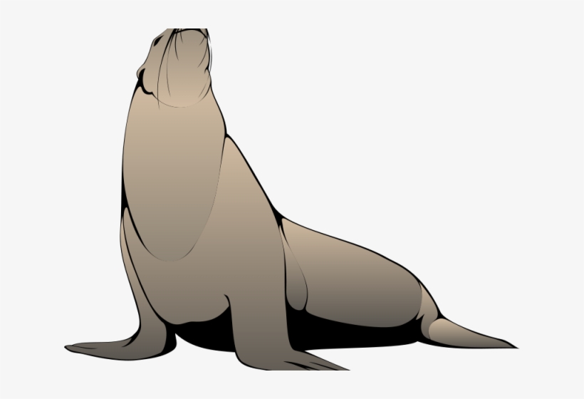 Seal Clipart Realistic - Harp Seal Clip Art, transparent png #2475710