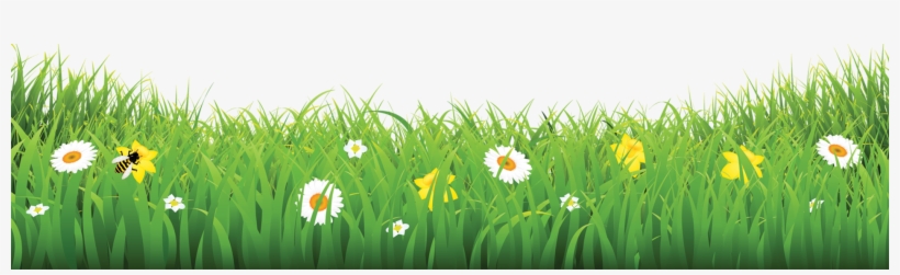 Grass-flower - Flower & Grass Pic Png, transparent png #2476149