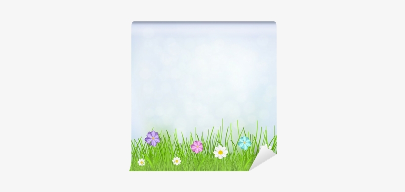 Background With Sky, Grass And Flowers Wall Mural • - Spanish Daisy, transparent png #2476648