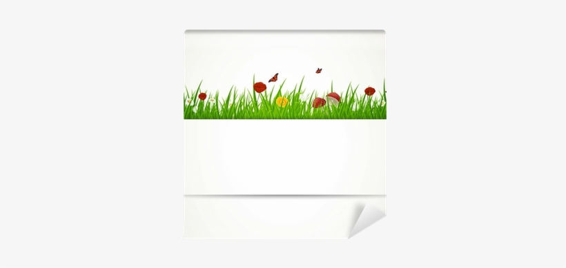 Vector Background With Grass And Flowers Wall Mural - Lady Tulip, transparent png #2476681