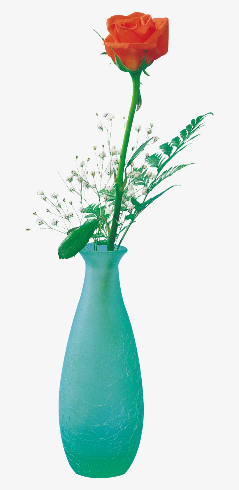 Free Png - Flower, transparent png #2476709