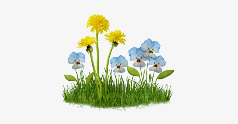 Kathleen Reynolds Grass Flowers Leafs - Clipart Fleurs Fond Transparent, transparent png #2476753
