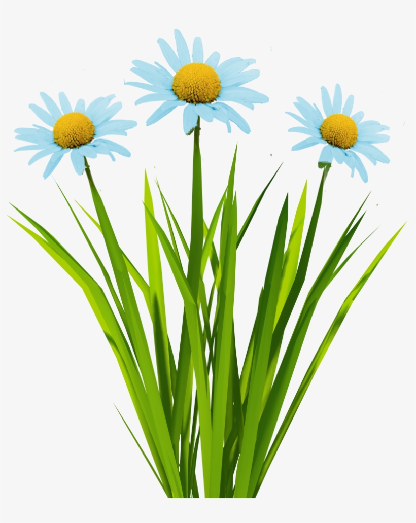 Billboard Texture Png - Grass With Flowers Animated, transparent png #2476779